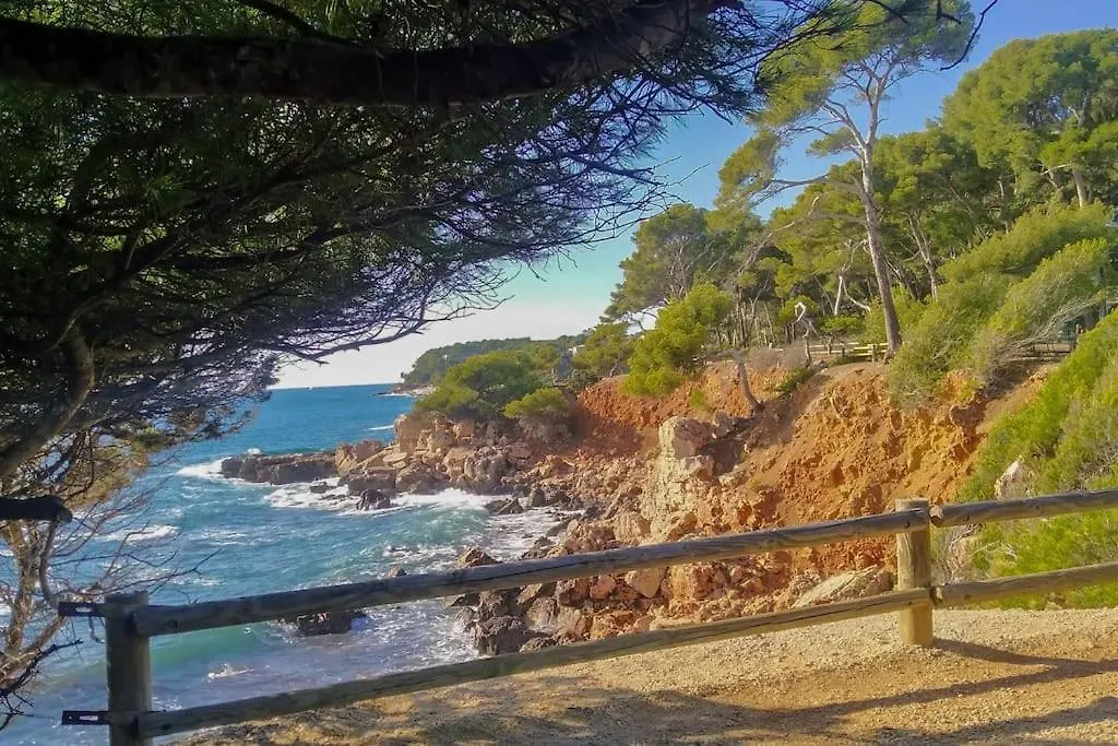 Lägenhet Charmant T2 Avec Terrasse Vue Mer Bandol