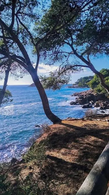 Charmant T2 Avec Terrasse Vue Mer Bandol Apartment