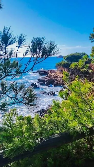 Charmant T2 Avec Terrasse Vue Mer Bandol
